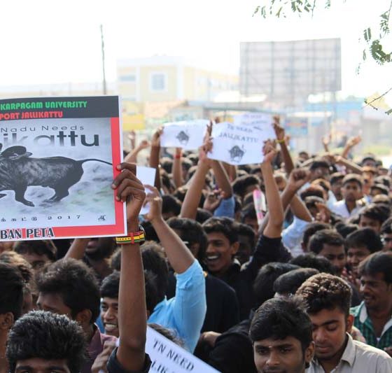 Karpagam Architecture - Student Jallikattu Protest